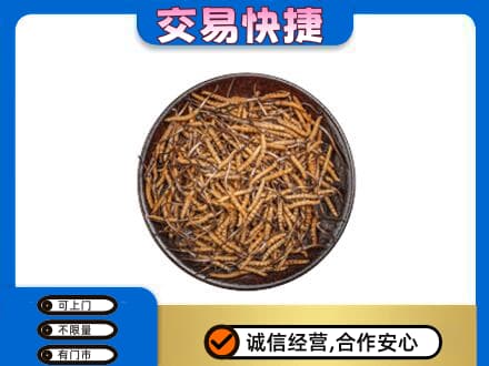 广元礼品回收虫草.jpg